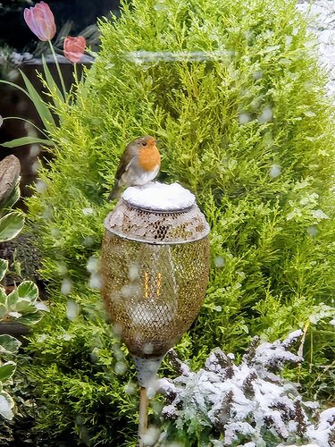 560721ac-f285-4bbc-8023-eb35a07d044b~1